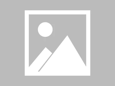 卡米是什么意思揭秘网络用语背后的趣事