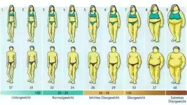 微胖女性穿搭秘籍：2大显瘦法则，轻松提升气质与魅力