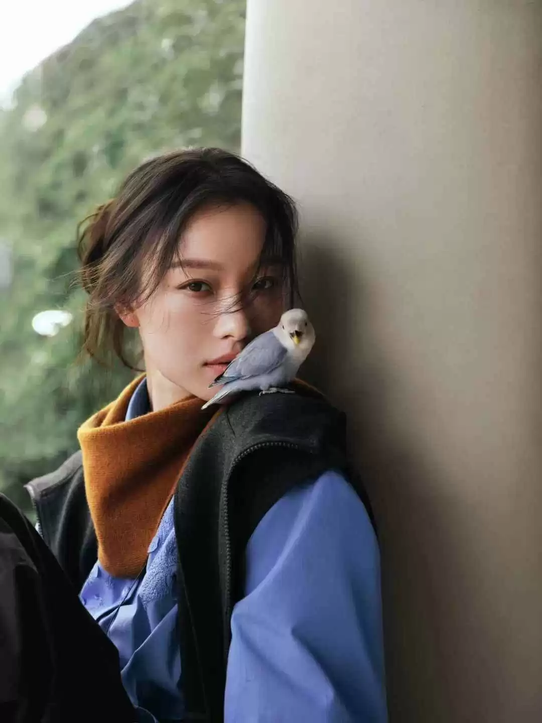 2014初秋穿衣搭配 她们说这才是秋天最实用的单品!6种穿法都帮大家总结好了