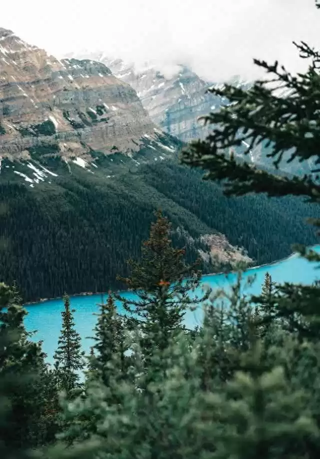 穿衣搭配技巧：33毫秒内，你的形象如何决定社交成败