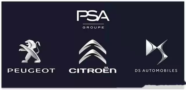 XL是什么品牌多领域详细解读与选择指南