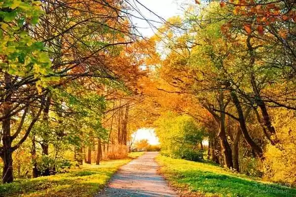 搞定什么秋的纠结这篇指南让你秋天不再选择困难