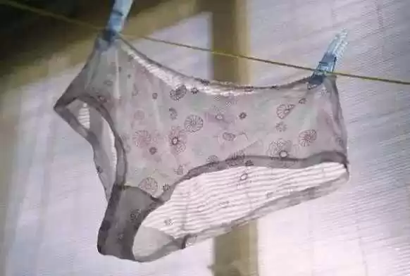 姐妹们，别再为内裤纠结！这份“屁屁幸福指南”请收好