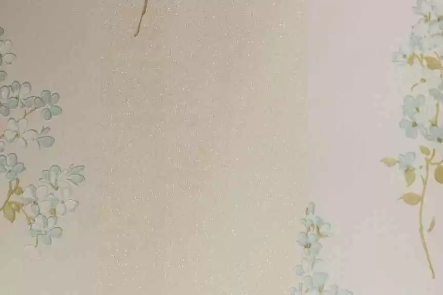 探索什么什么什么色的奥秘与实用技巧 探索什么什么什么色的奥秘与实用技巧