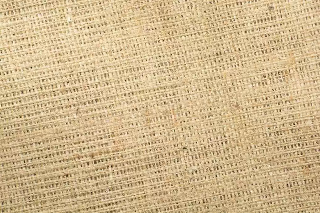 探索罗马棉的秘密：这种让衣服挺括又舒服的面料究竟是何方神圣