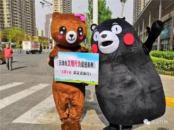 揭秘布朗熊这只萌物背后的故事与魅力