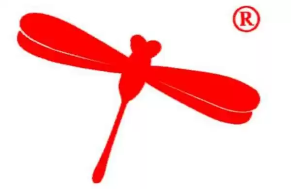 红蜻蜓品牌探秘从童年梦想到国潮鞋履的成长之路