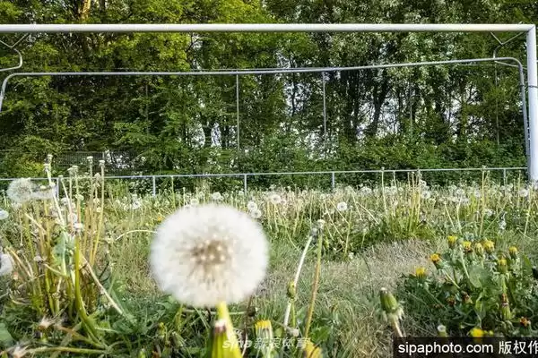 解密VGRASS维格娜丝 它为何稳坐国产高端女装头排交椅