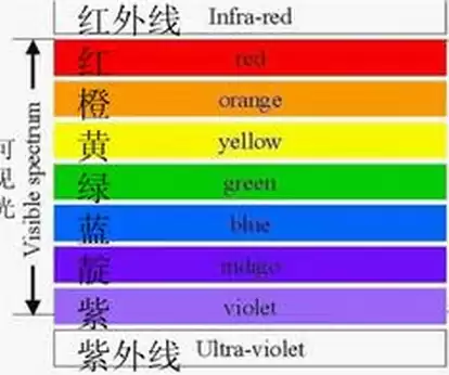靛色全知道：从起源到日常妙用