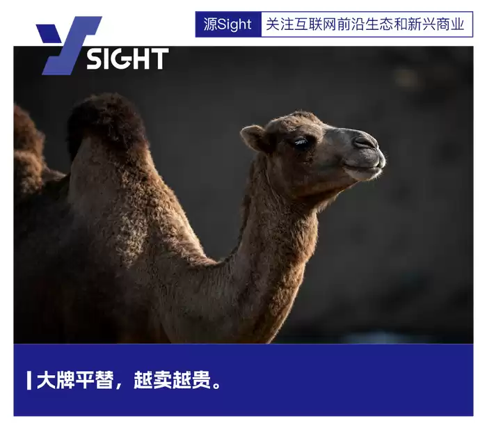 骆驼到底几个意思？从网络热词到丝绸之路的千年故事